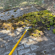 Moss-Removal-in-Pullman-WA 2
